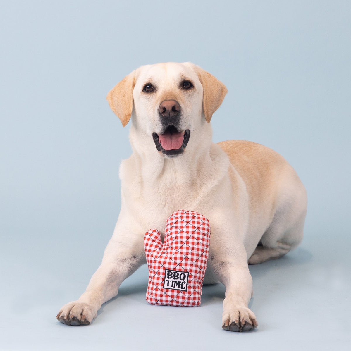 Wagsdale Can't Touch This Plush Dog Toy