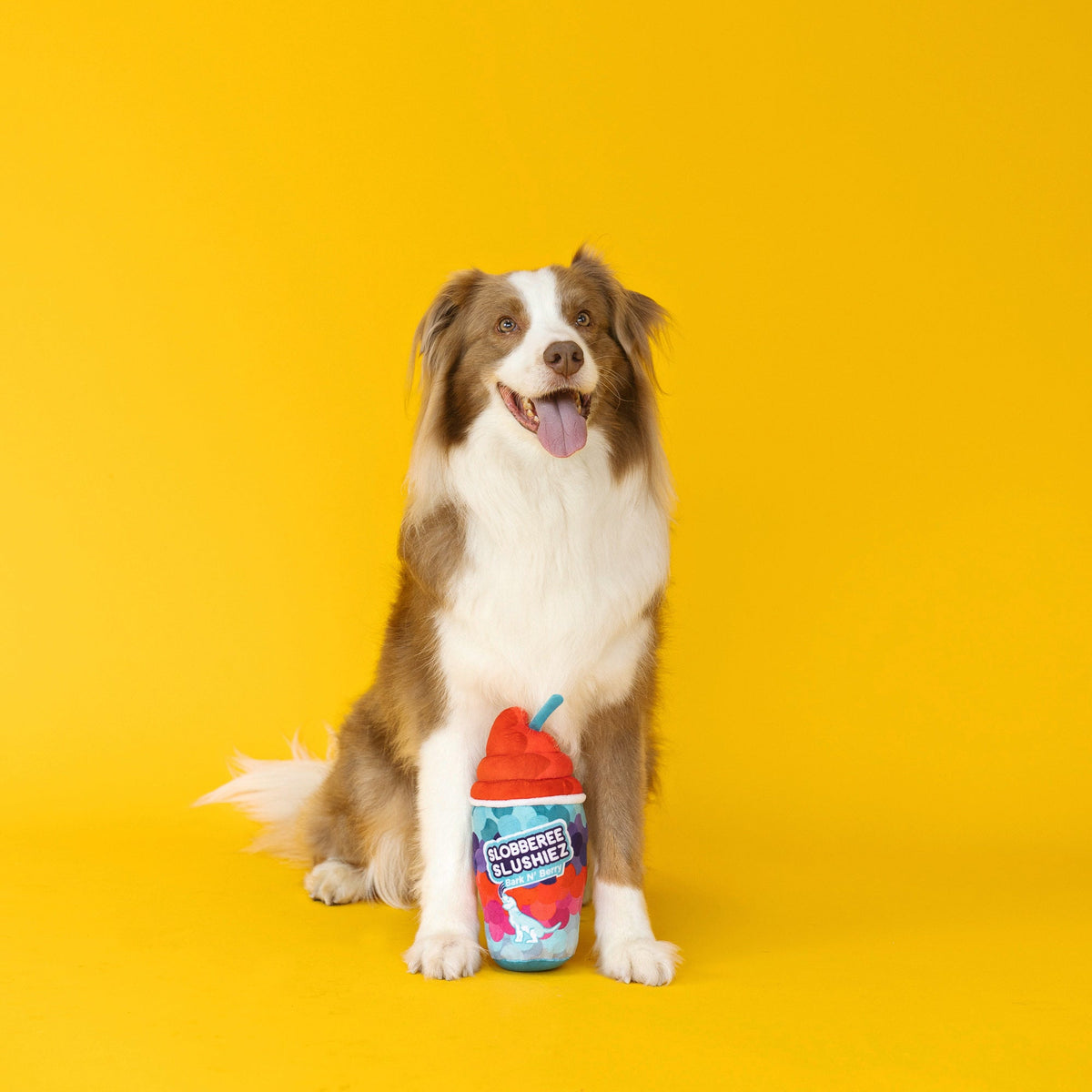 Wagsdale Slobberee Slushiez Dog Toy