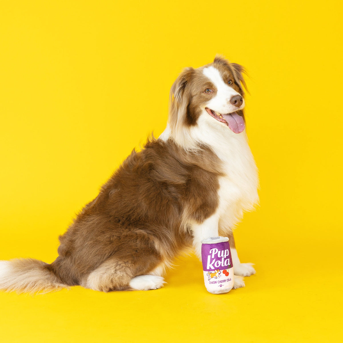 Wagsdale Chasin' Cherry Cola Dog Toy