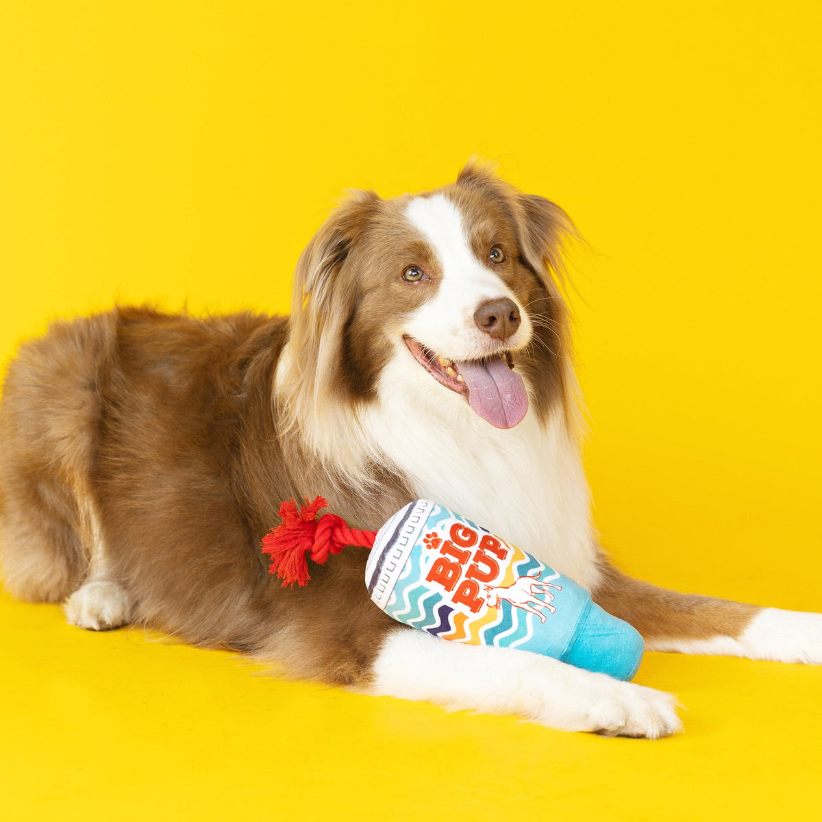 Wagsdale Big Pup Dog Toy