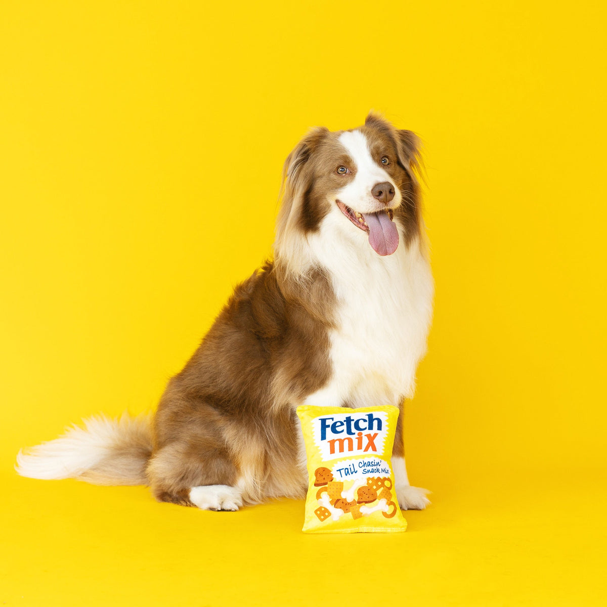 Wagsdale Fetch Mix Dog Toy