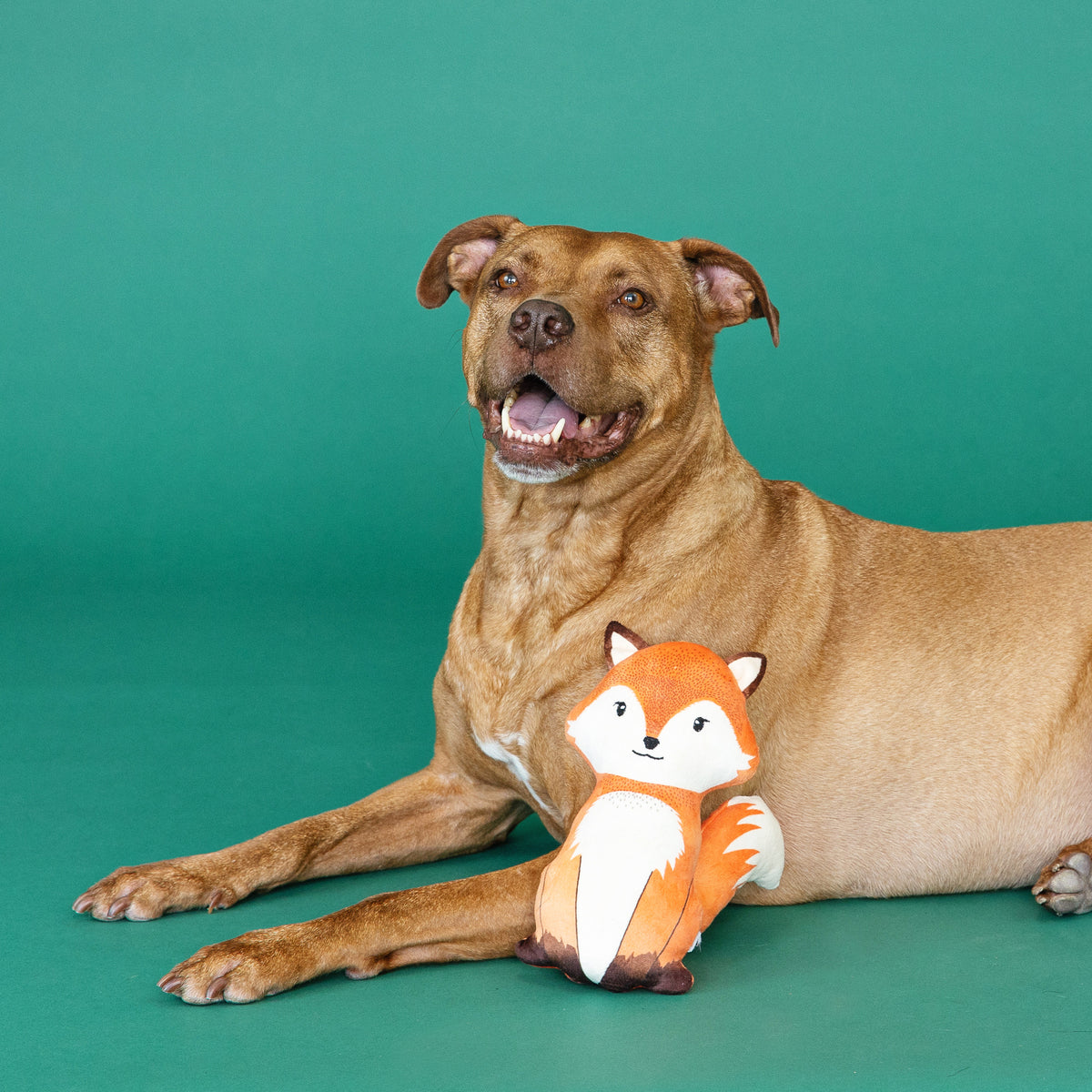Wagsdale Farrah Fox Plush Dog Toy