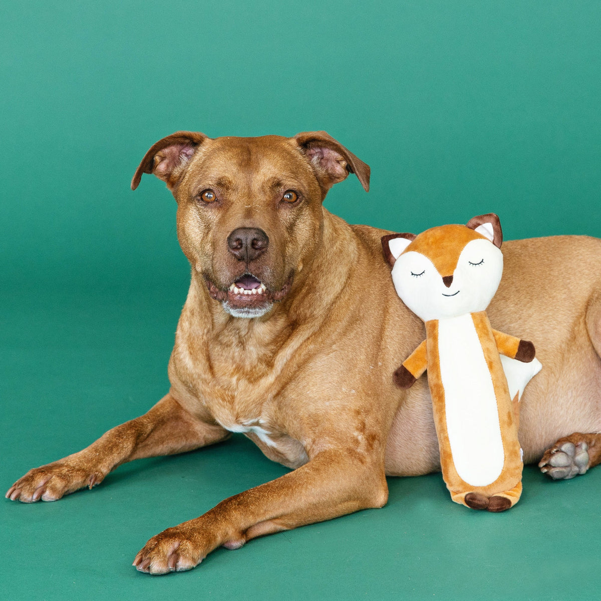 Wagsdale For Fox Sake Dog Toy