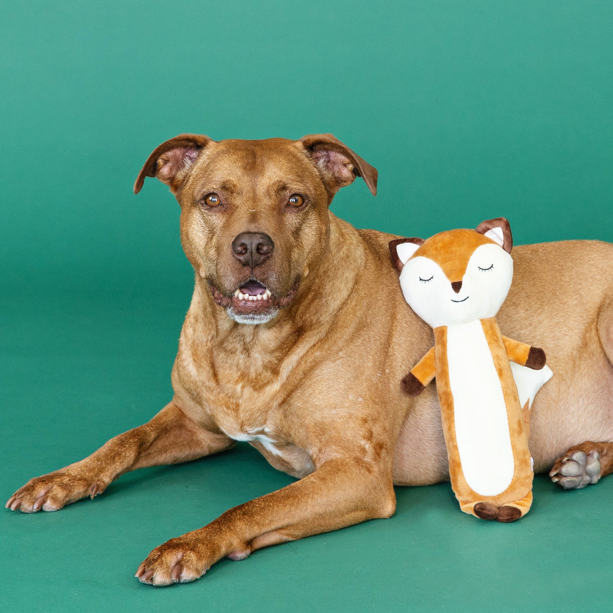 Wagsdale For Fox Sake Dog Toy