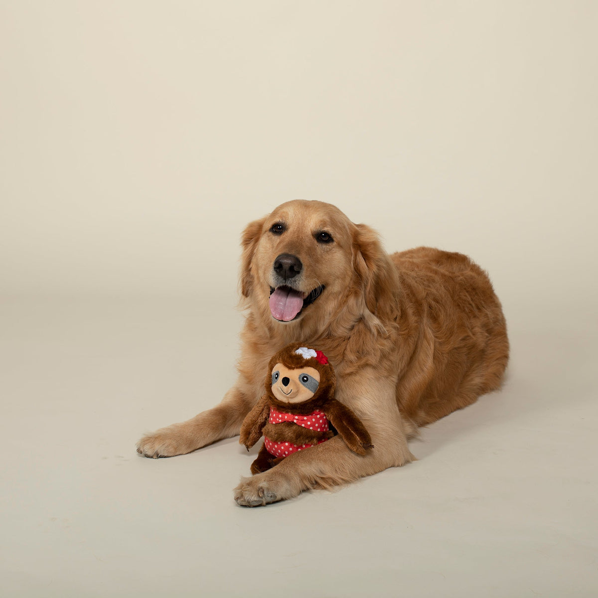 Girls Just Want To Have Sun Plush Dog Toy