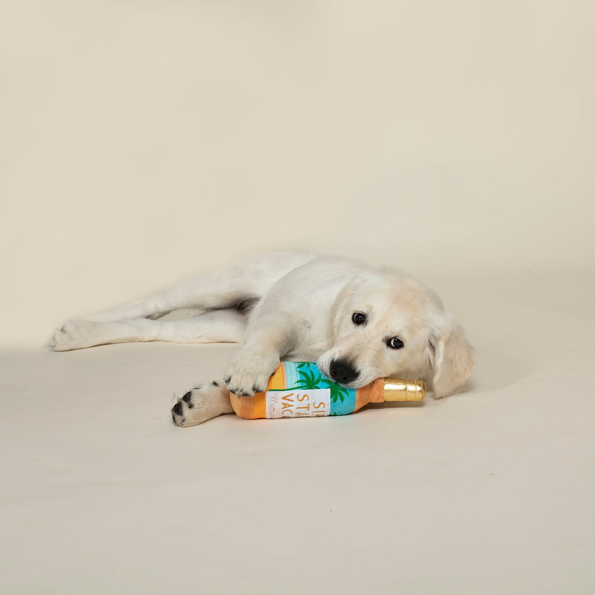 Sip Stay Vacay Plush Dog Toy