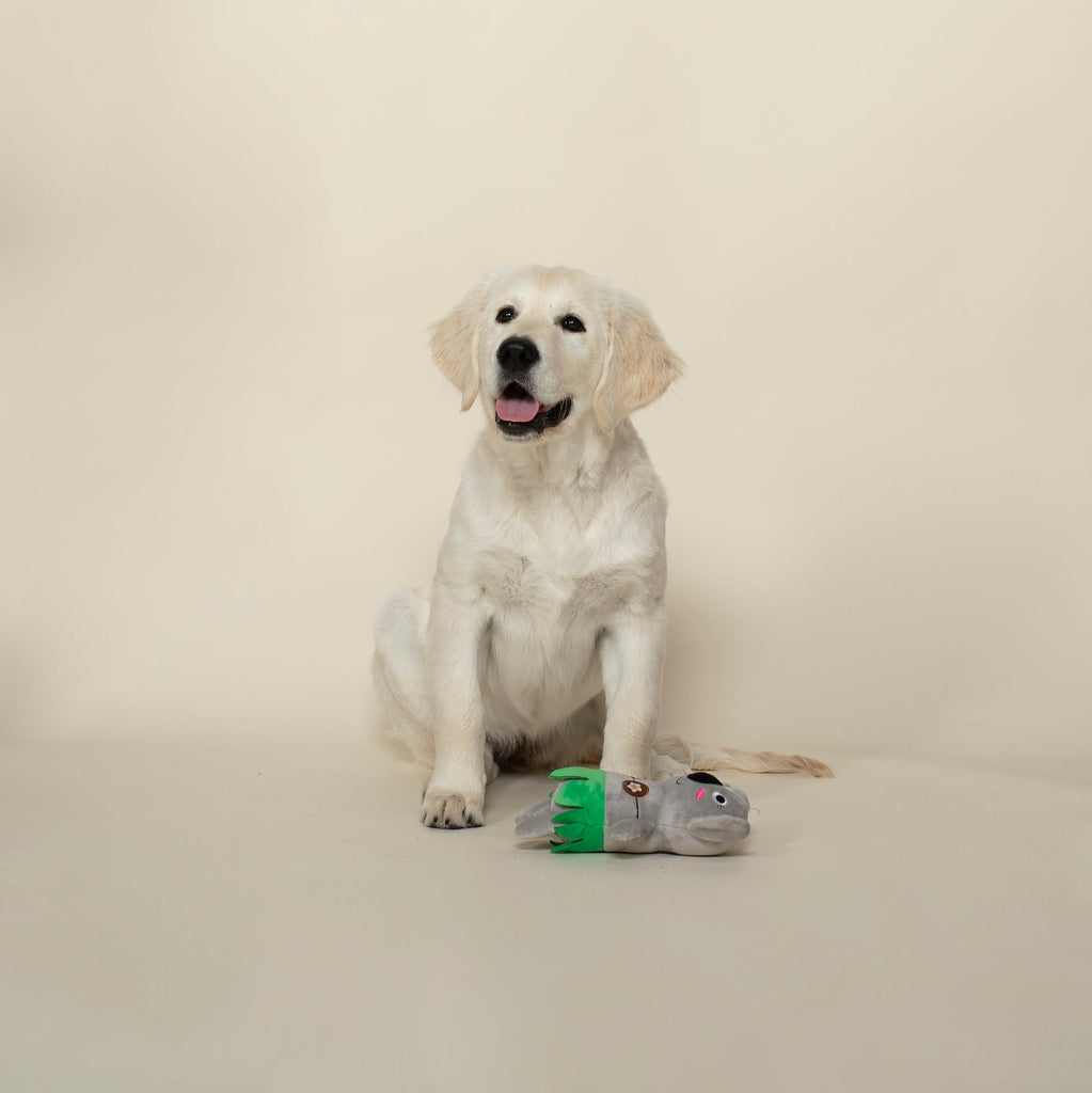 Shake Your Palm Palms Dog Toy