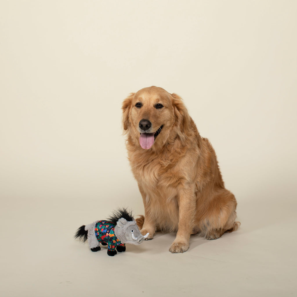 High Tides, Good Vibes Dog Toy