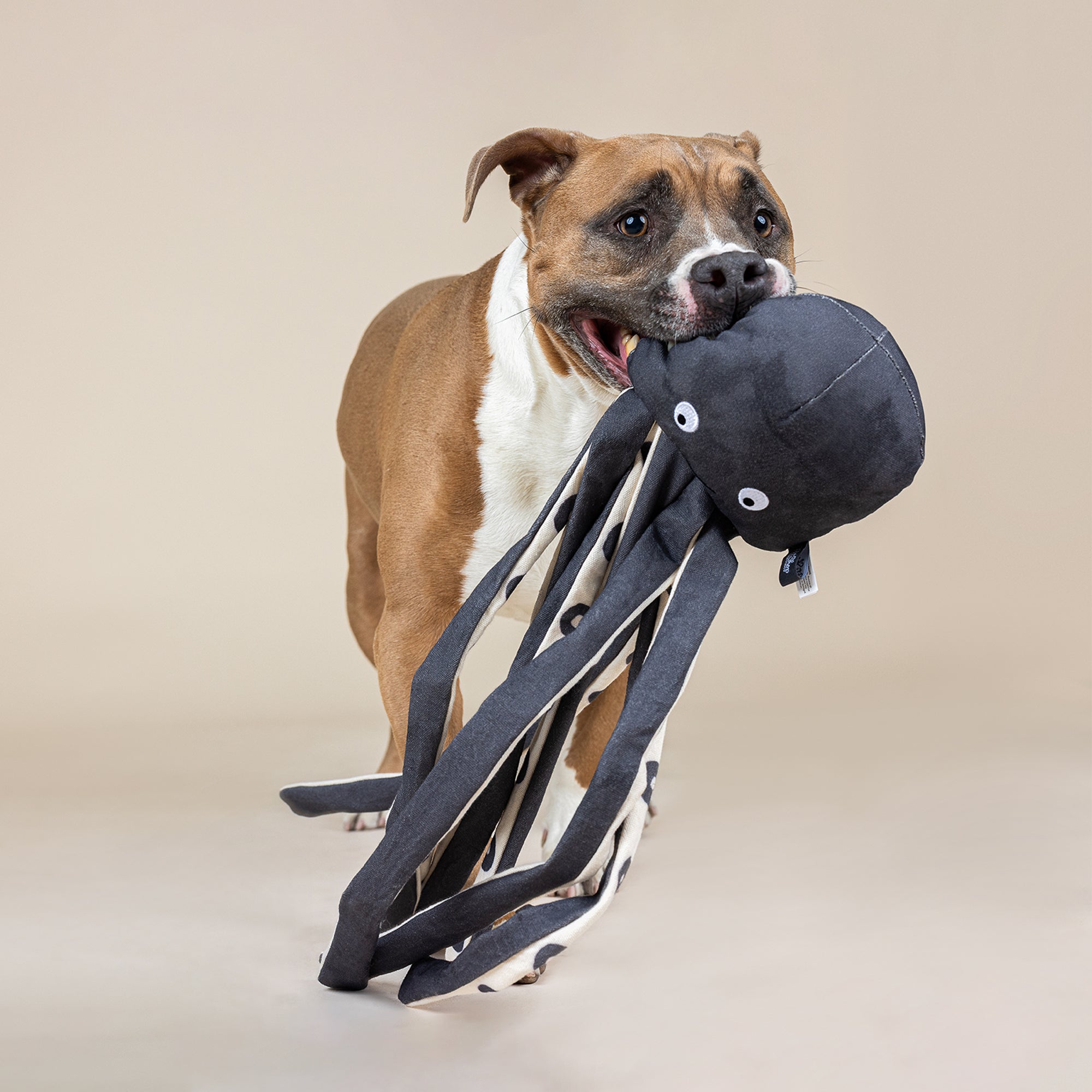 Inking About You Canvas Dog Toy