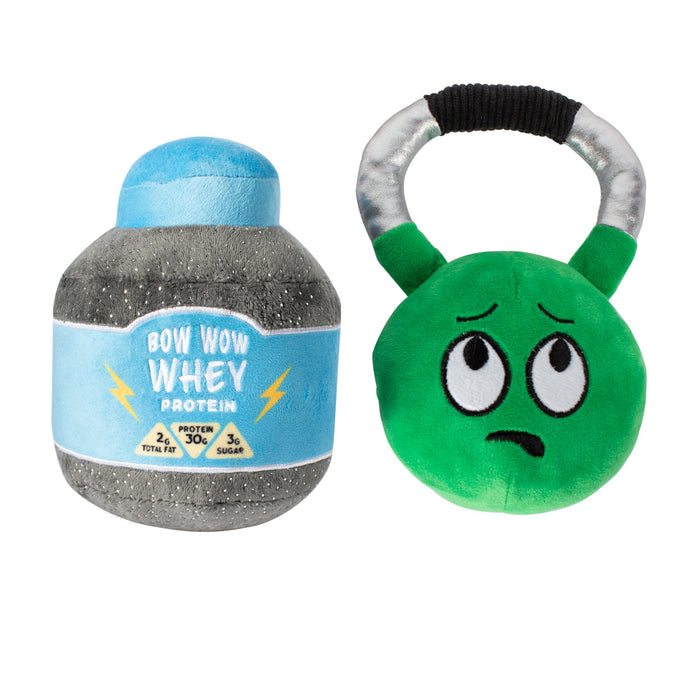 Sore Today, Strong Tomorrow Dog Toys