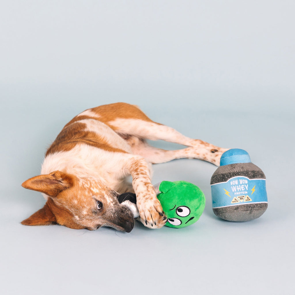 Sore Today, Strong Tomorrow Dog Toys