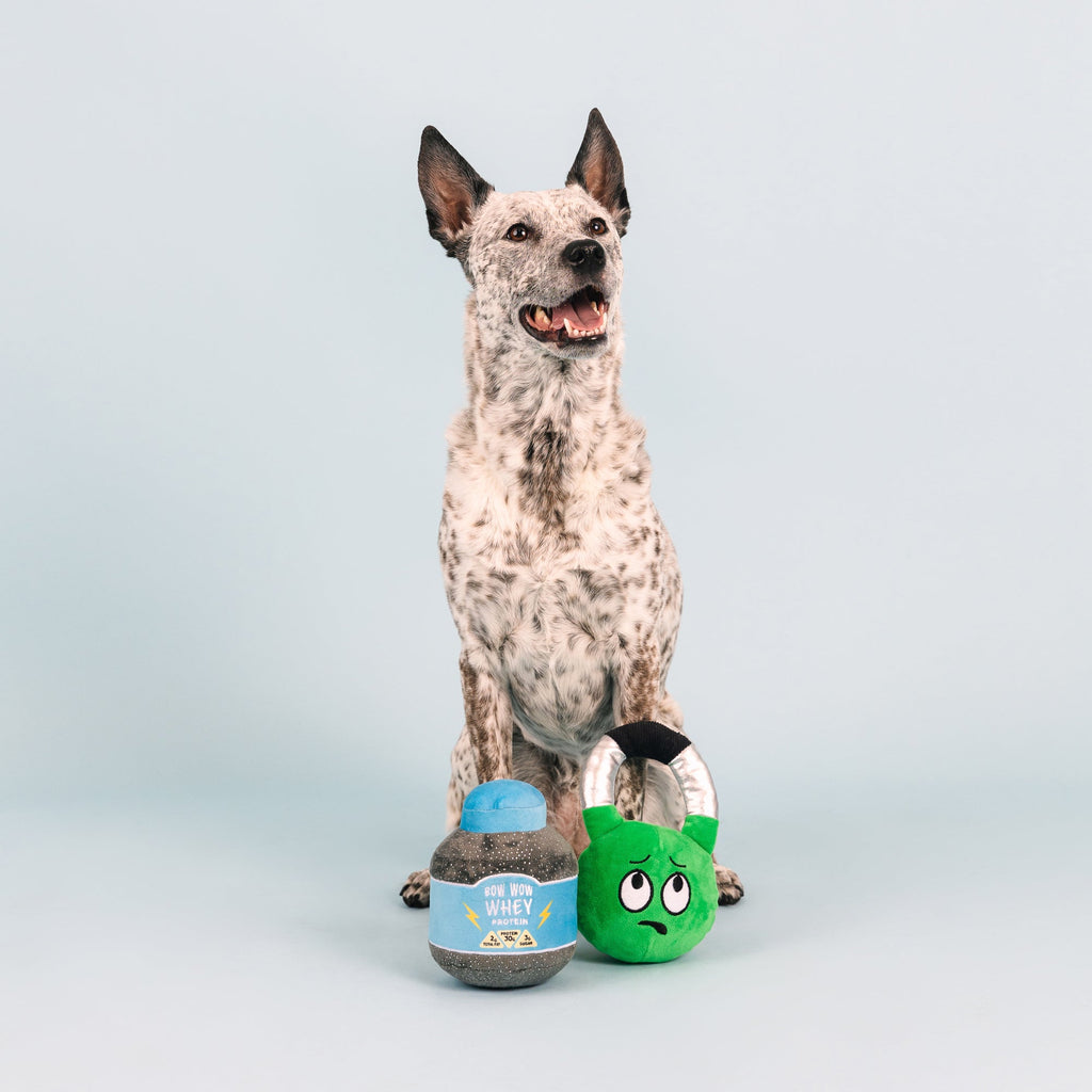 Sore Today, Strong Tomorrow Dog Toys