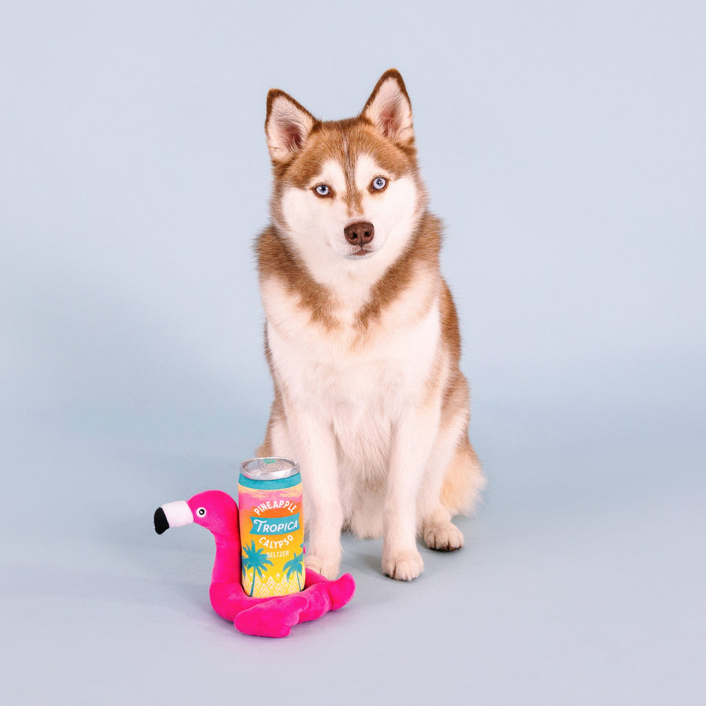 Pool Days, Sun Rays Dog Toys