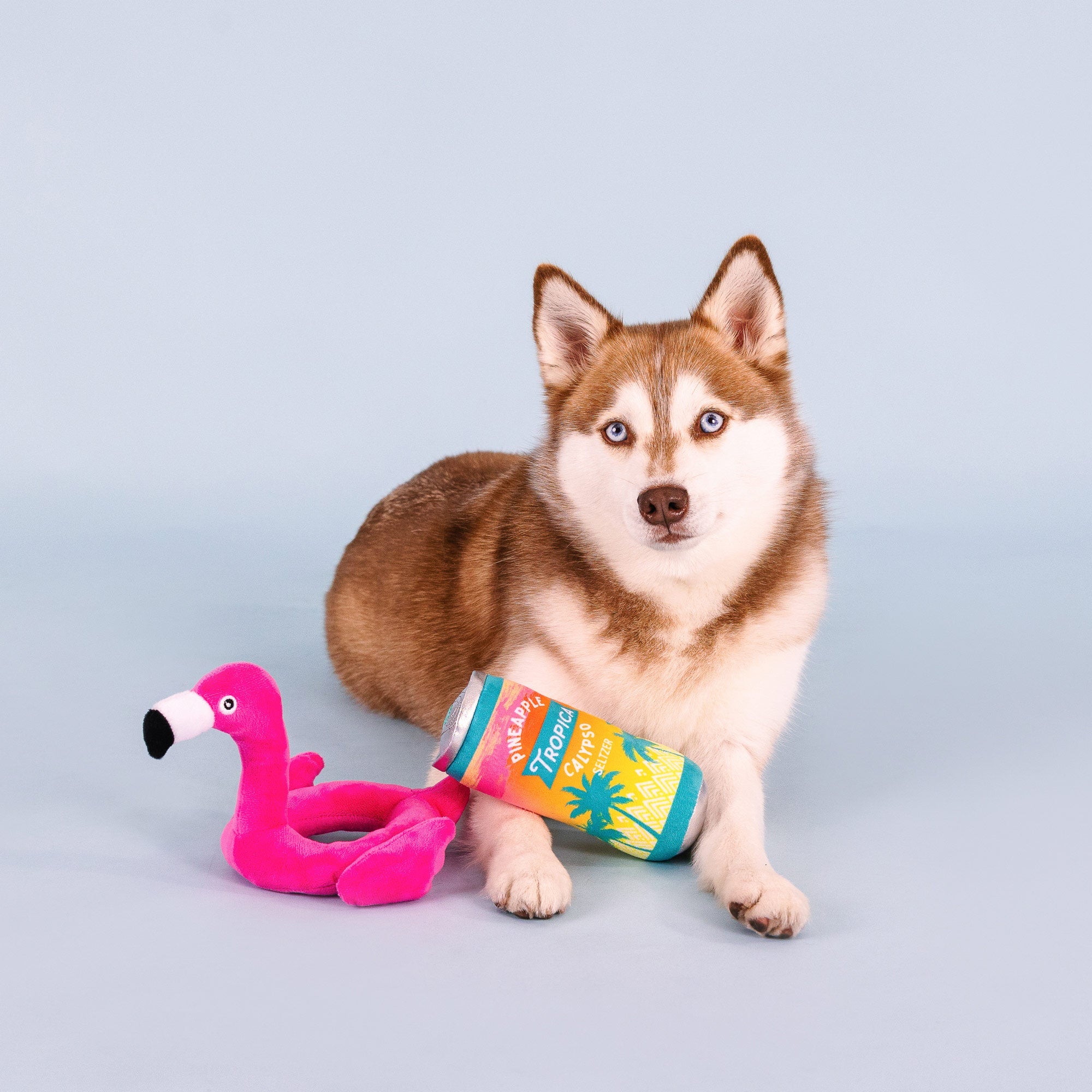 Pool Days, Sun Rays 2pc Plush Dog Toy Set