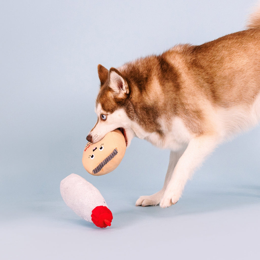 Burn Baby Burn Dog Toys