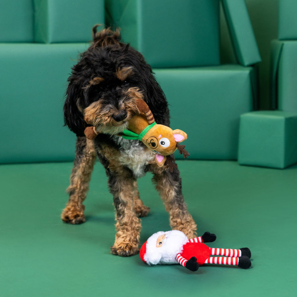 Friends At Frost Sight 2 Pc Dog Toy