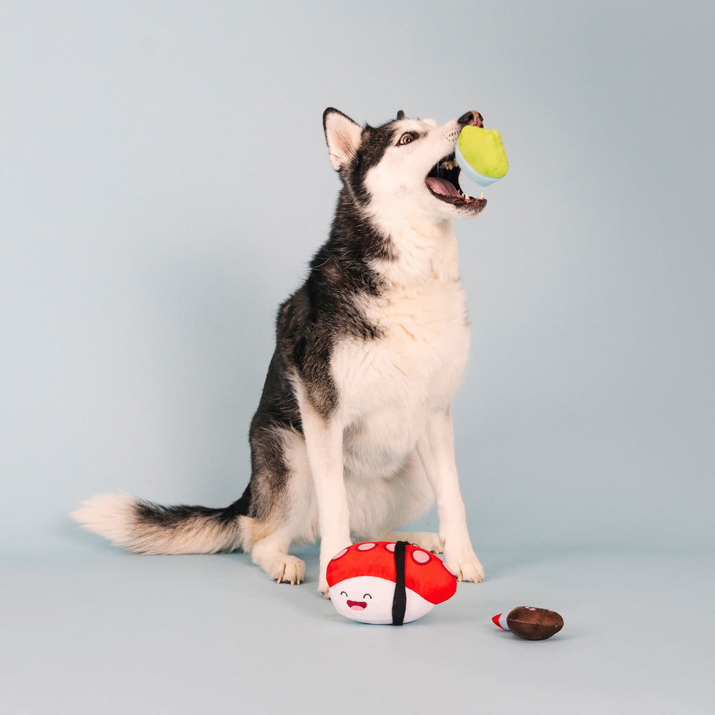 Soy Mates Dog Toys
