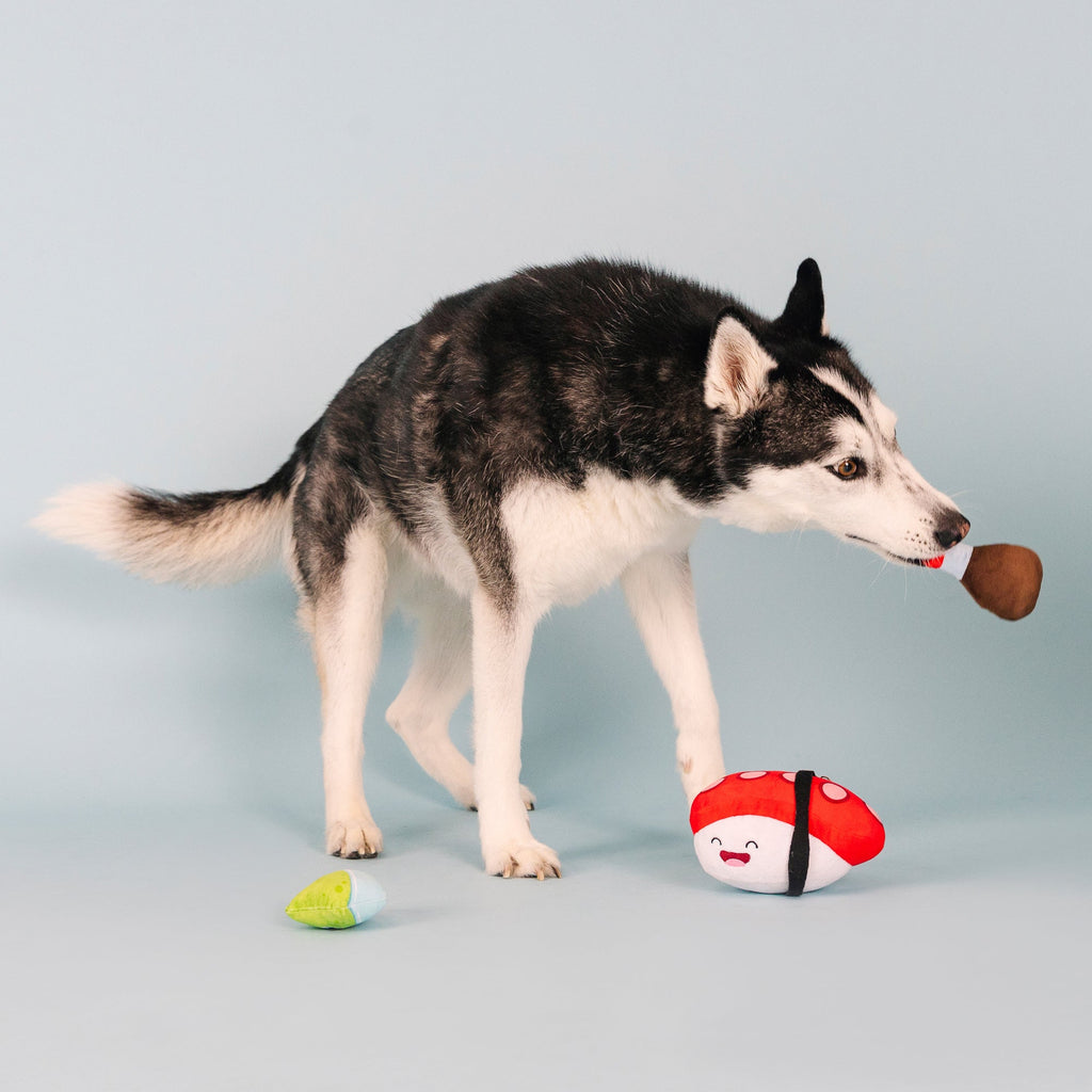 Soy Mates Dog Toys
