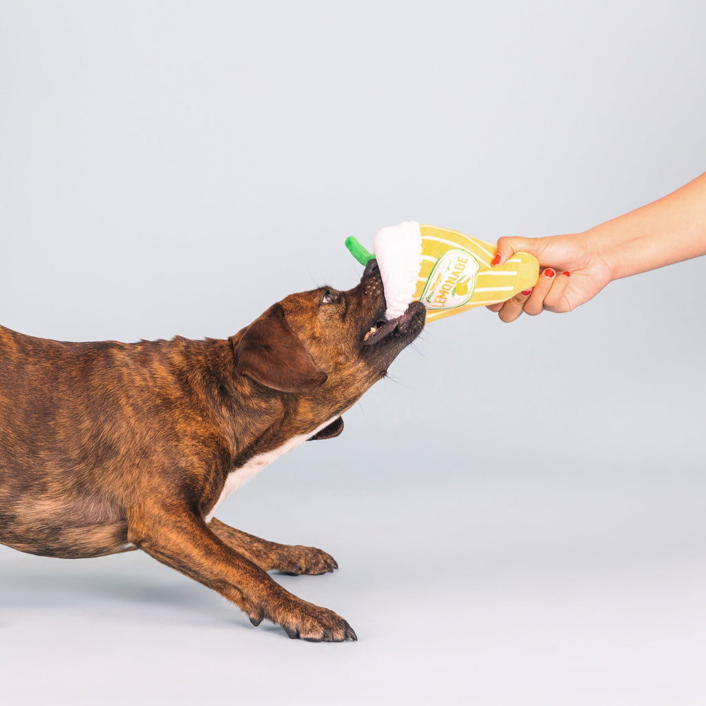 Pucker Up Dog Toys
