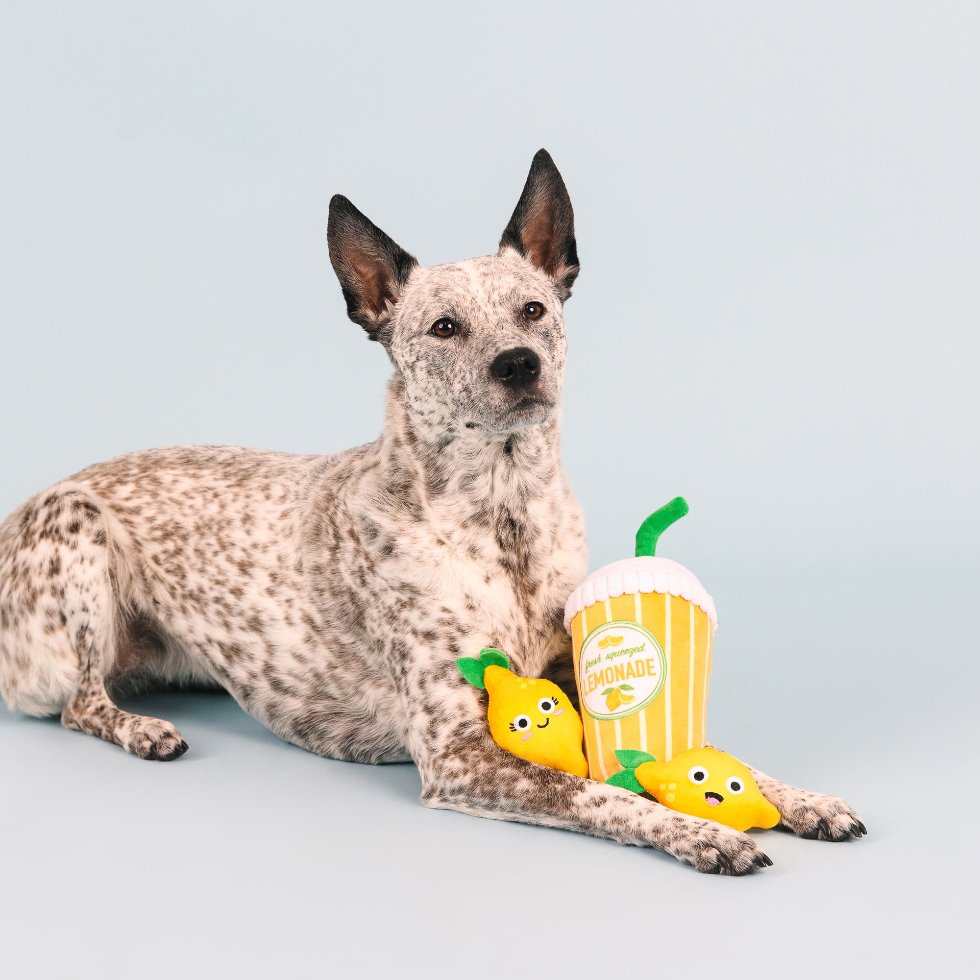 Pucker Up 3pc Plush Dog Toy Set