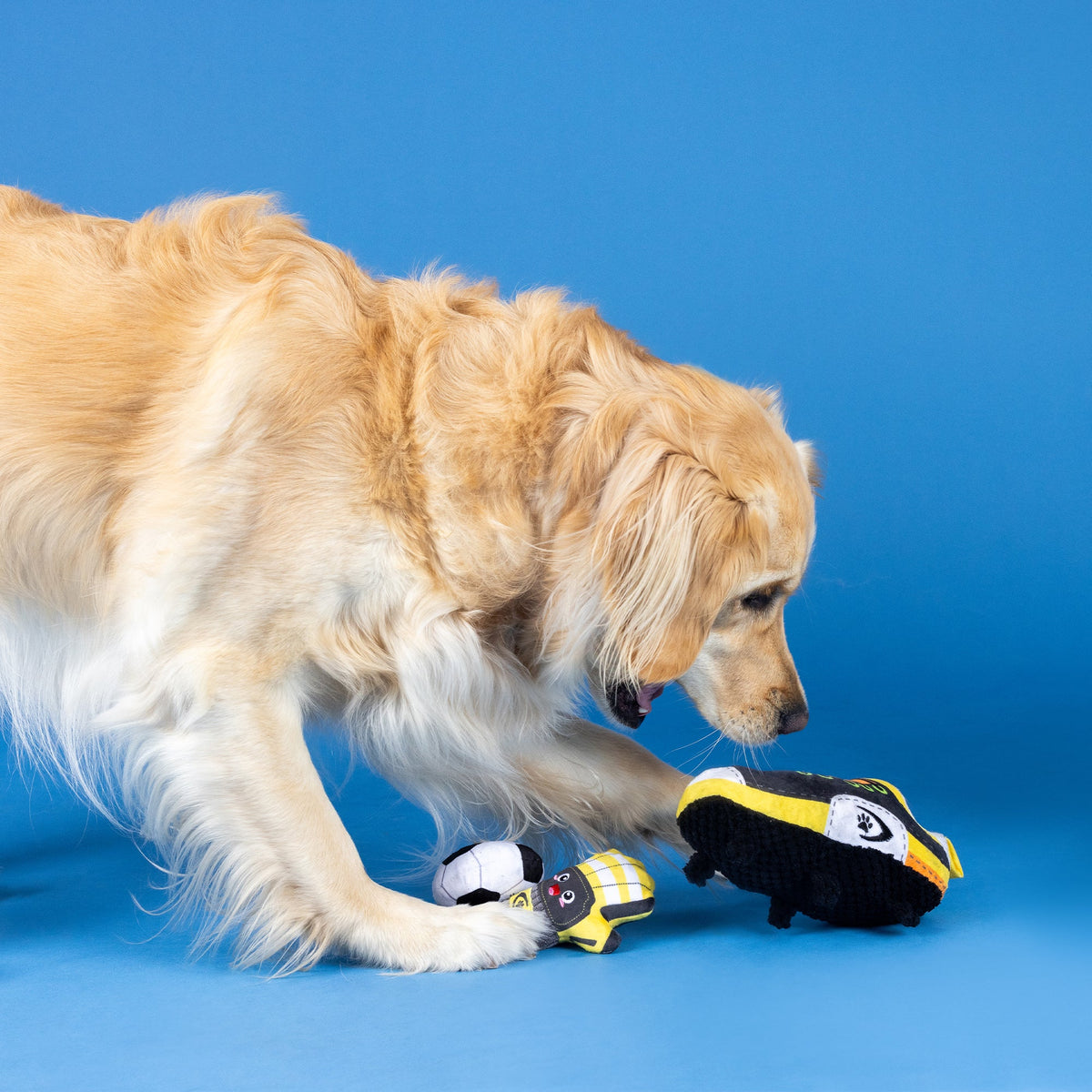 Wagsdale Goooooal! 3pc Plush Dog Toy Set