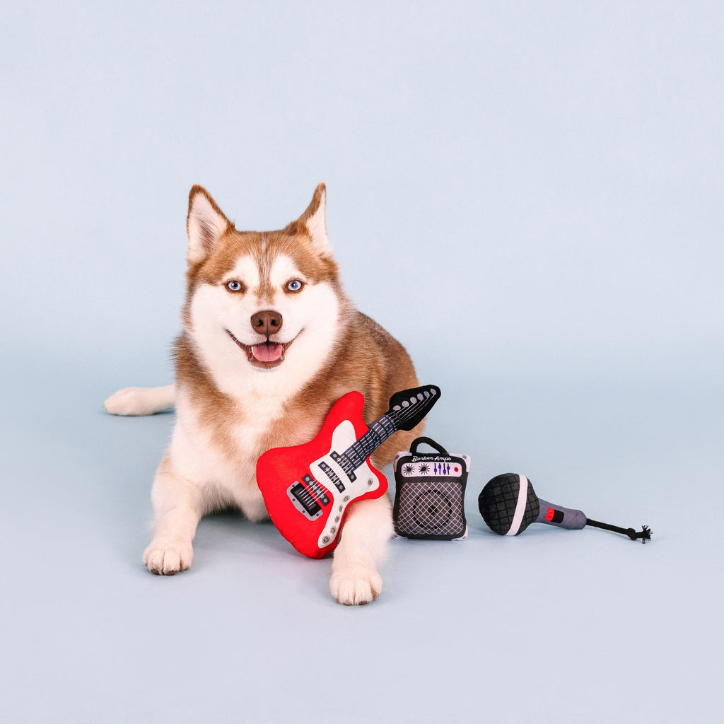 Ready To Rock Dog Toys