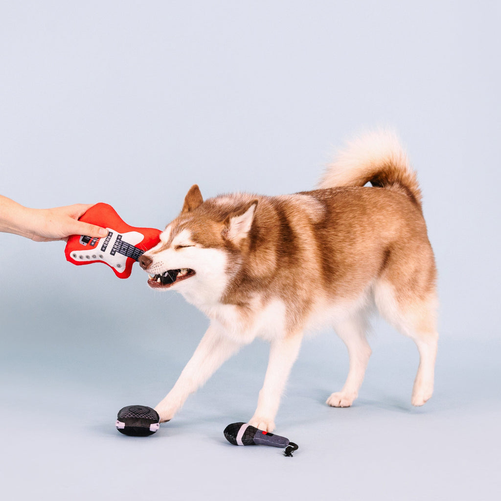 Ready To Rock Dog Toys