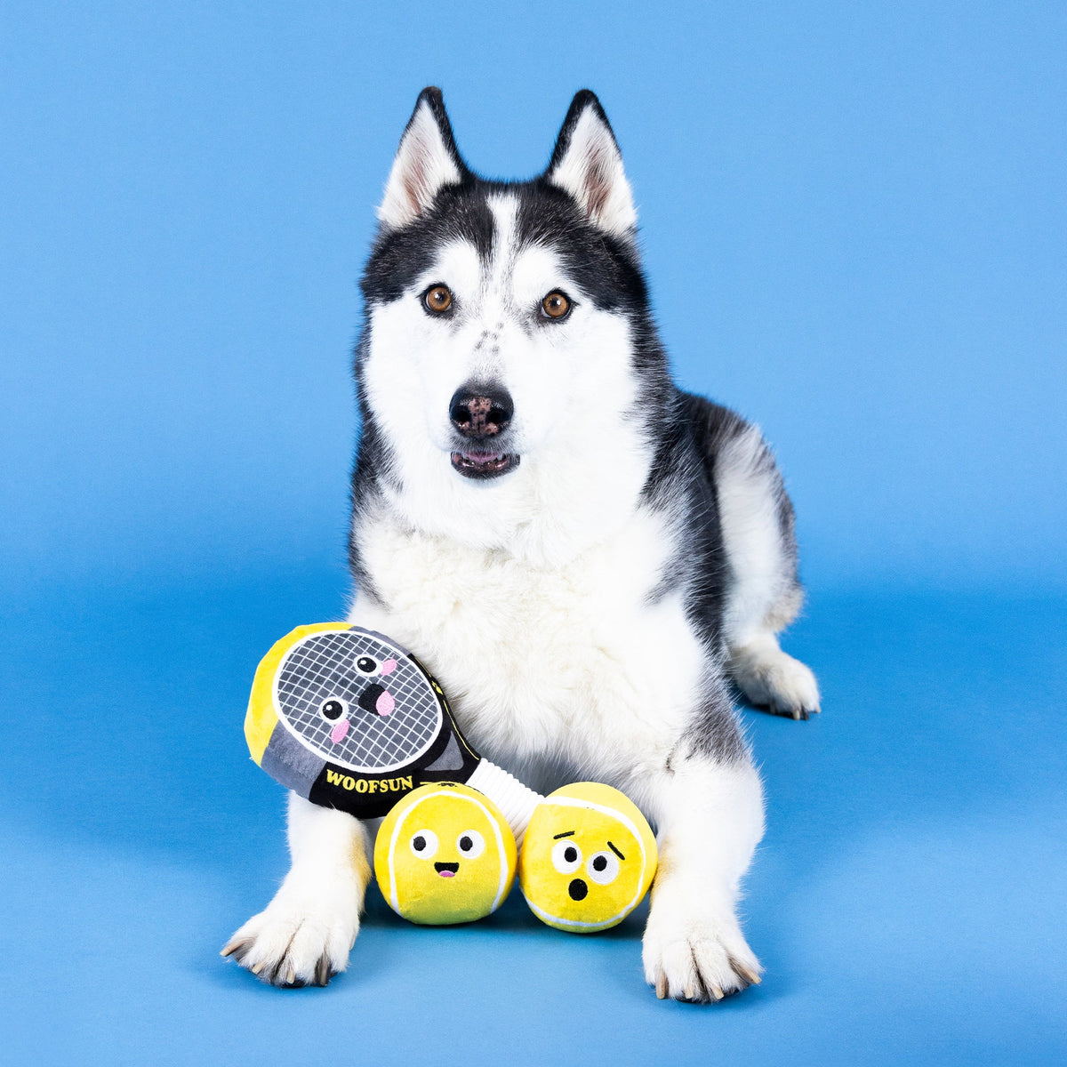 Wagsdale Serving Aces 3pc Plush Dog Toy Set