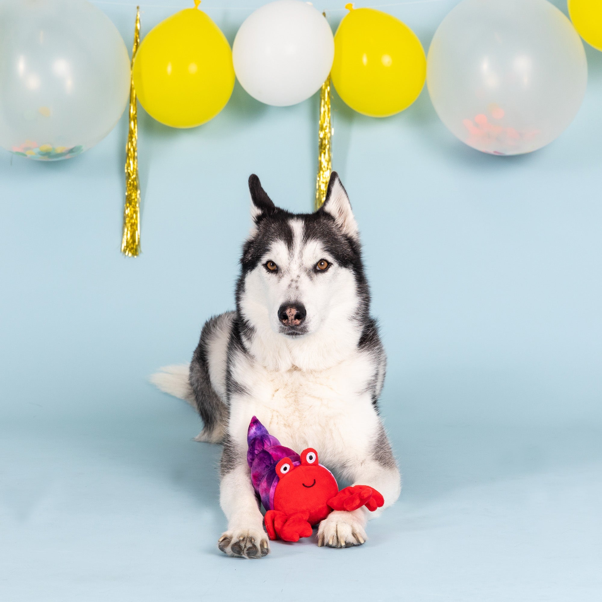 In A Pinch Plush Dog Toy
