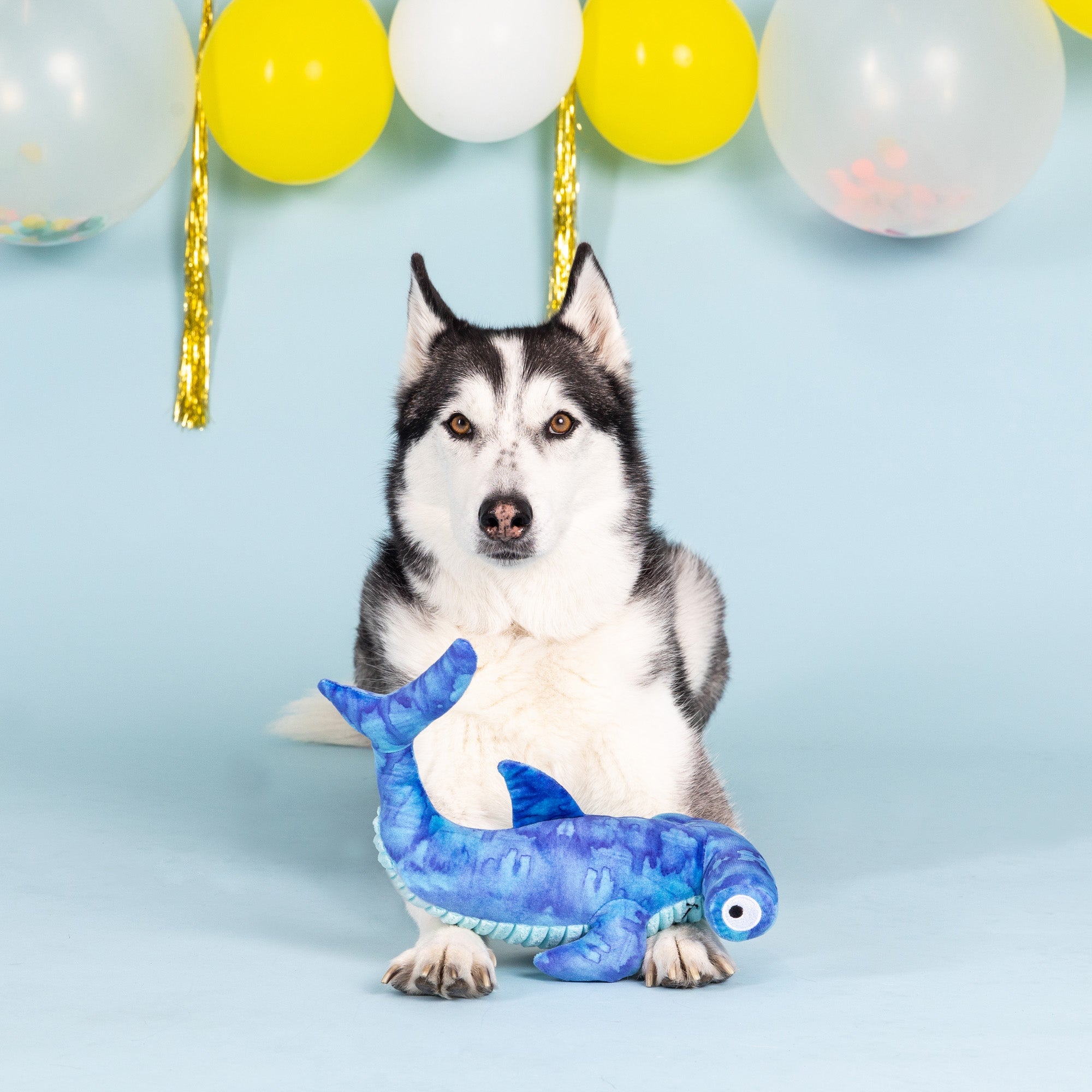 Nailed It! Plush Dog Toy