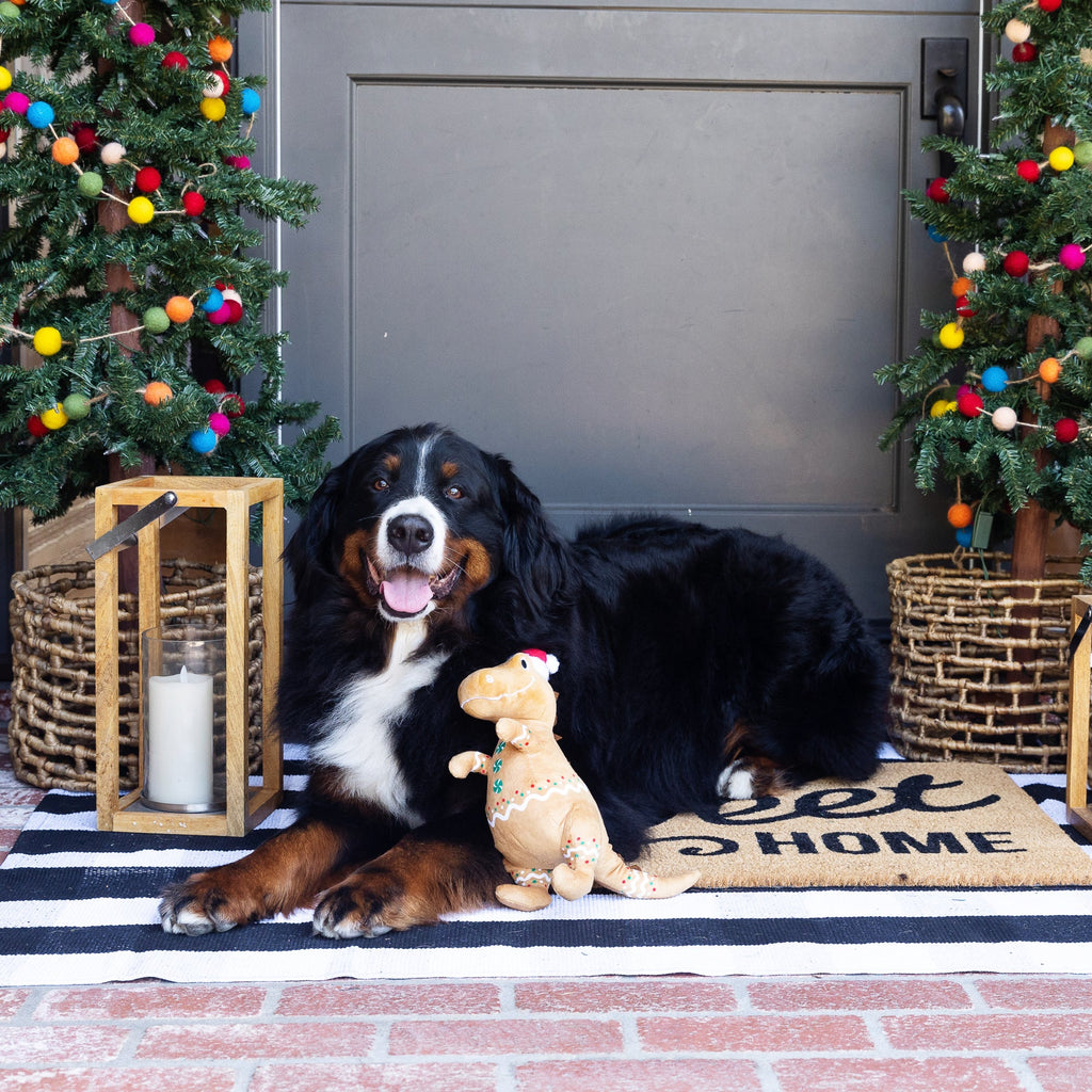 Cookie-Saurus Dog Toy