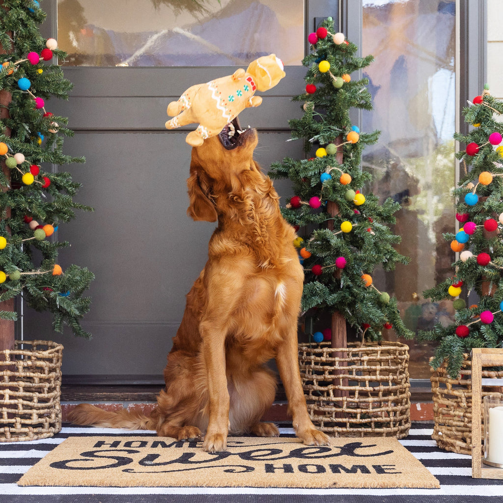 Cookie-Saurus Dog Toy