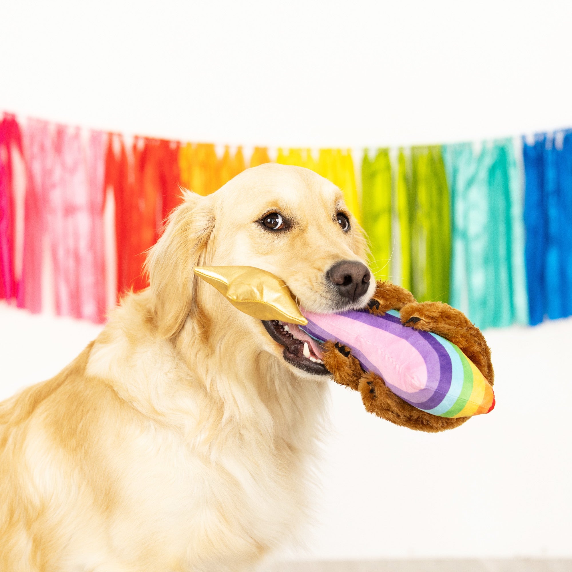 Rainbow High Plush Dog Toy