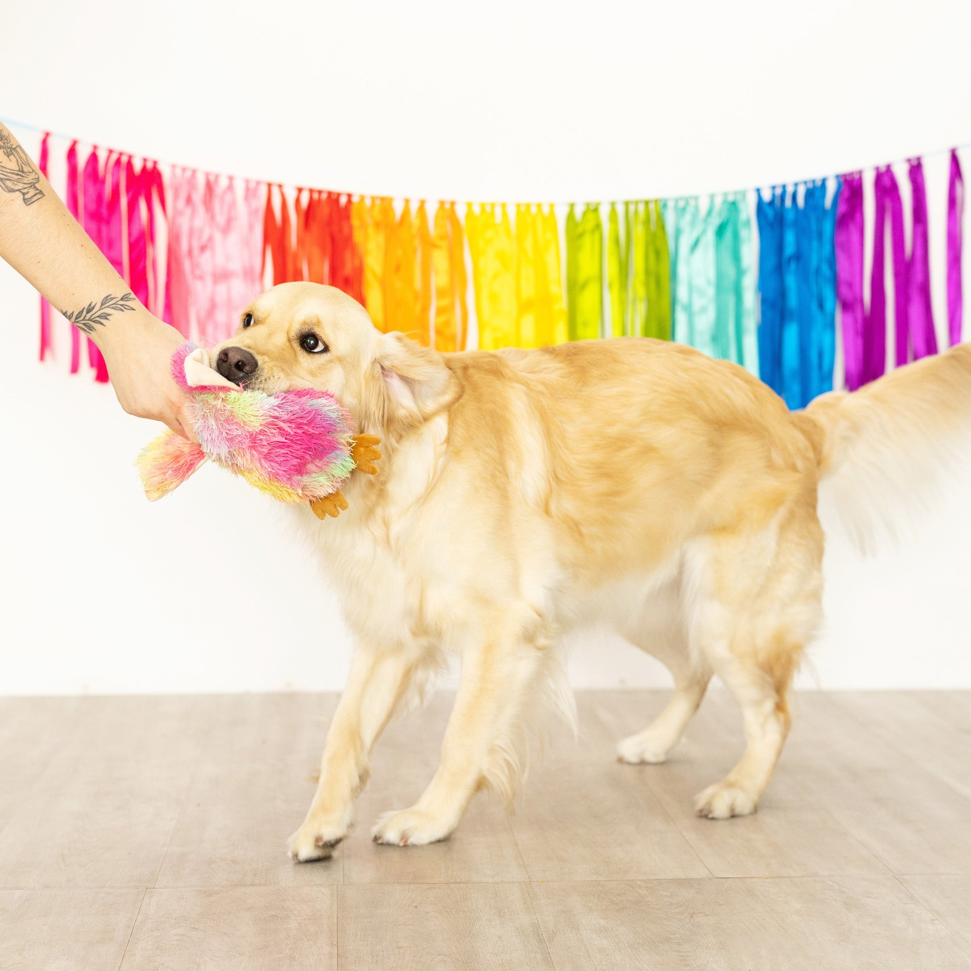 Be Hoo You Are Plush Dog Toy