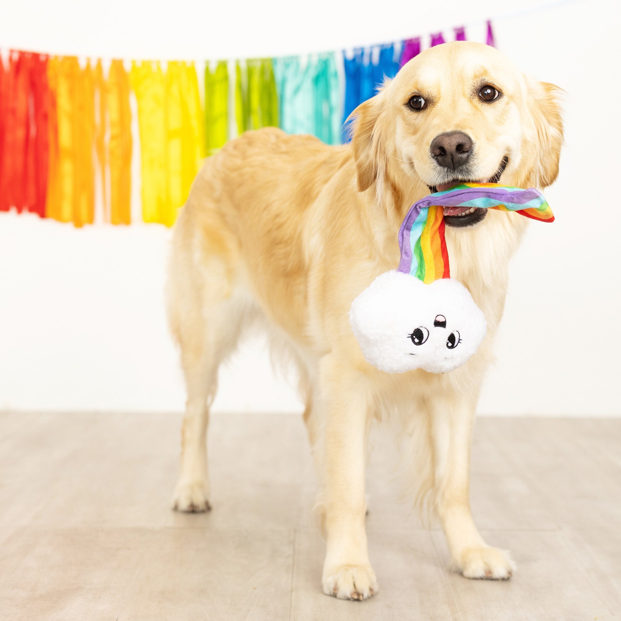 Head In The Clouds Plush Dog Toy