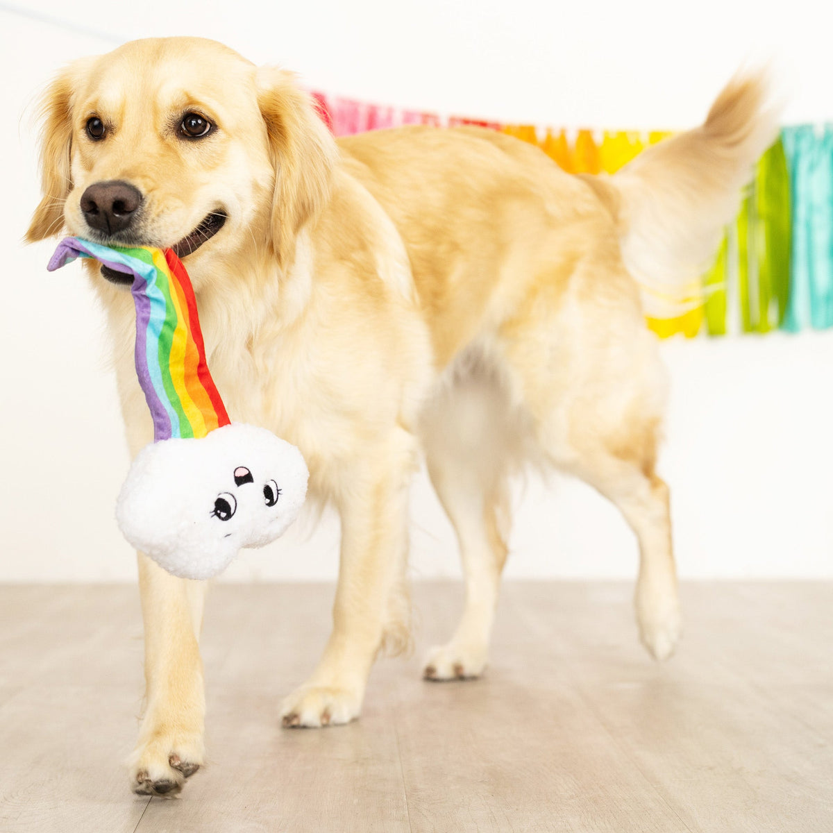 Head In The Clouds Plush Dog Toy