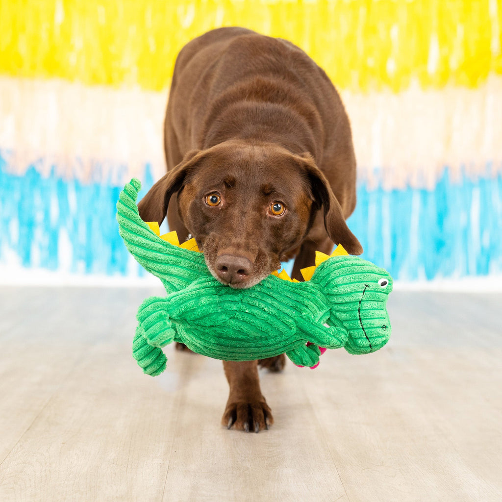 Thorny But Cute Dog Toy