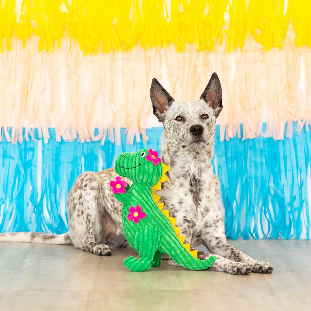 Thorny But Cute Dog Toy