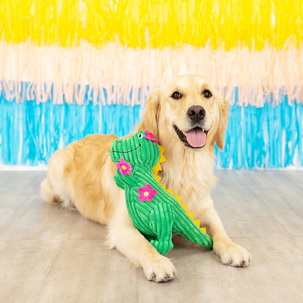 Thorny But Cute Dog Toy