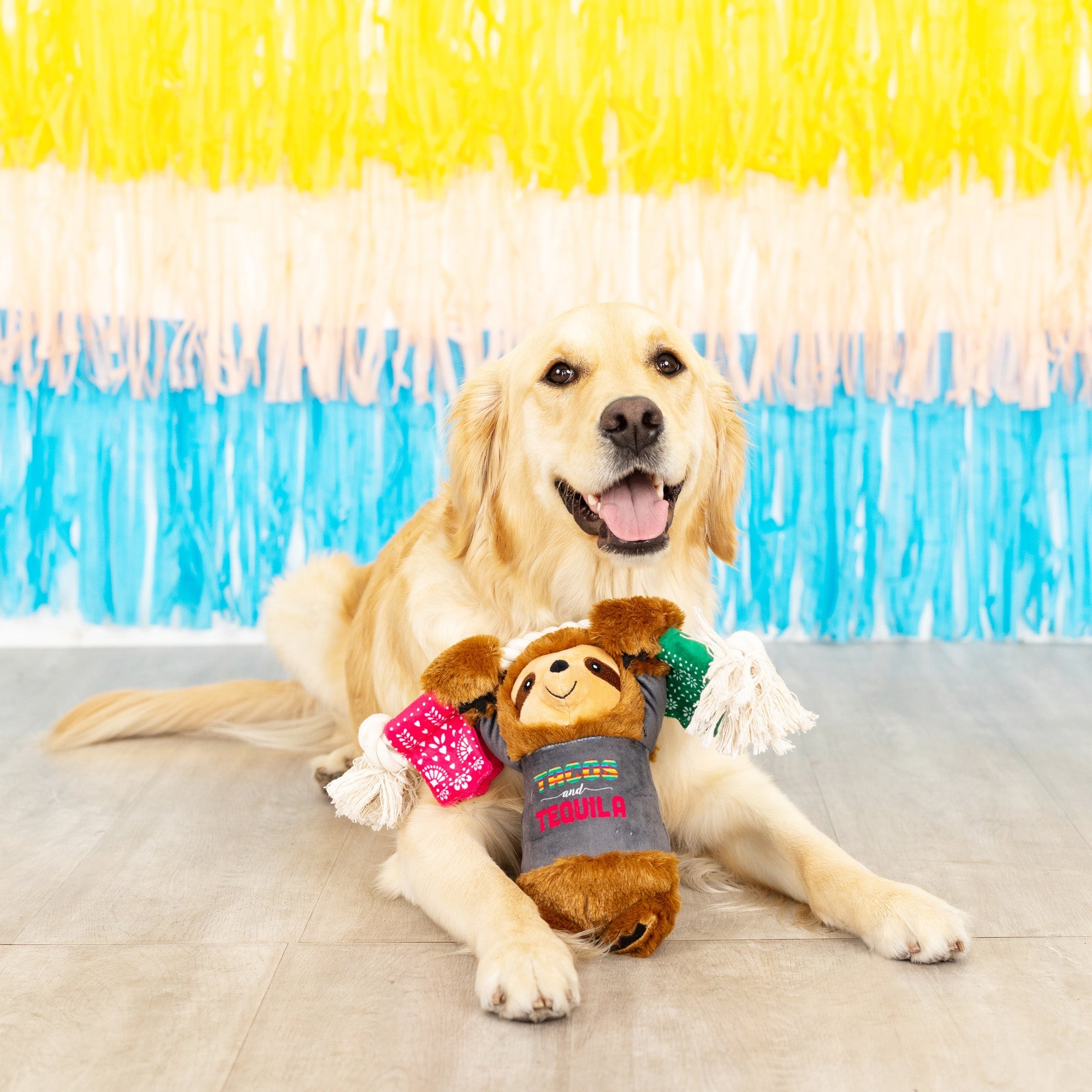 Tacos & Tequila Plush Dog Toy With Rope
