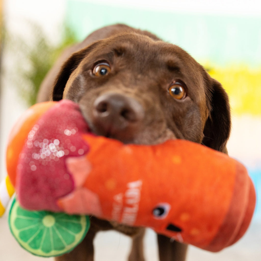 Muttchelada Dog Toy