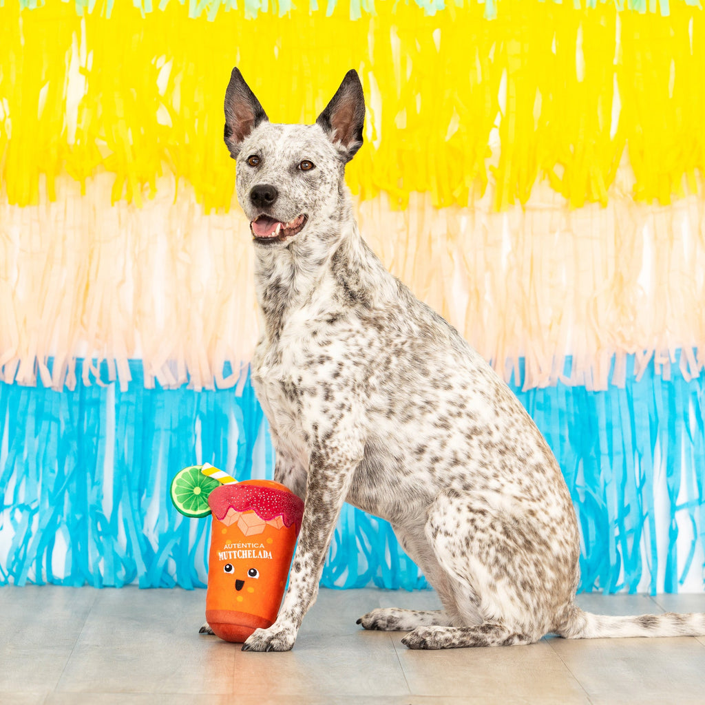 Muttchelada Dog Toy