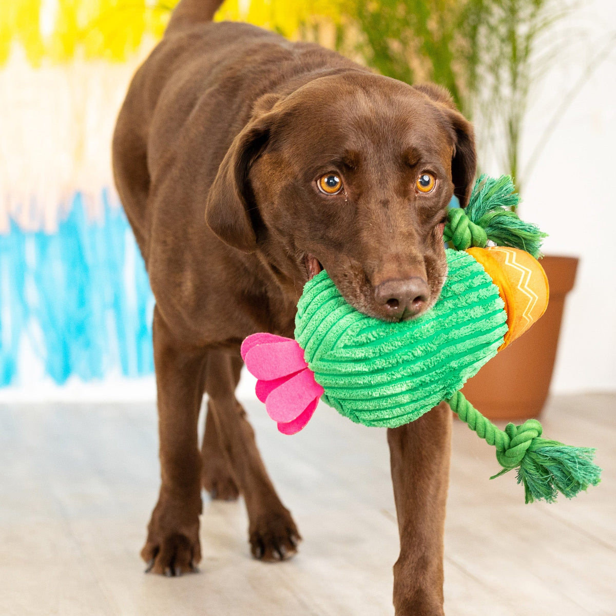 You Grow Chica! Plush Dog Toy With Rope