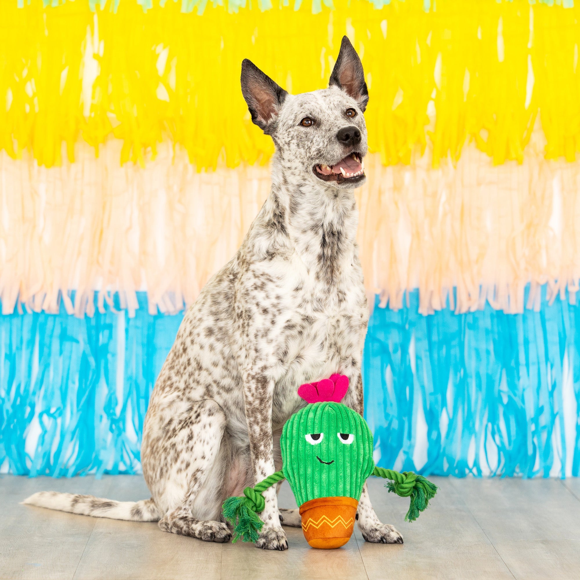 You Grow Chica! Plush Dog Toy With Rope