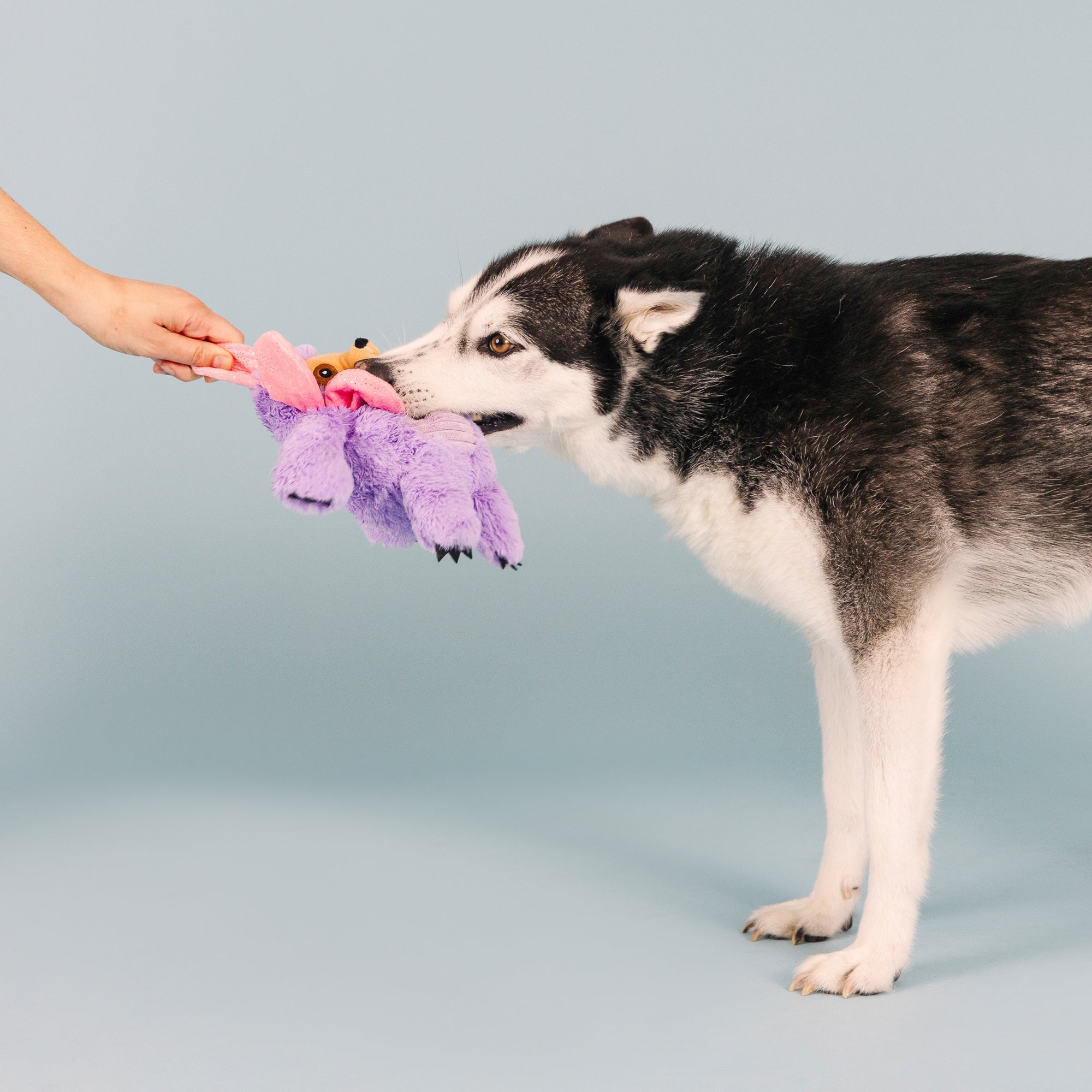 I'll Grow On You Plush Dog Toy