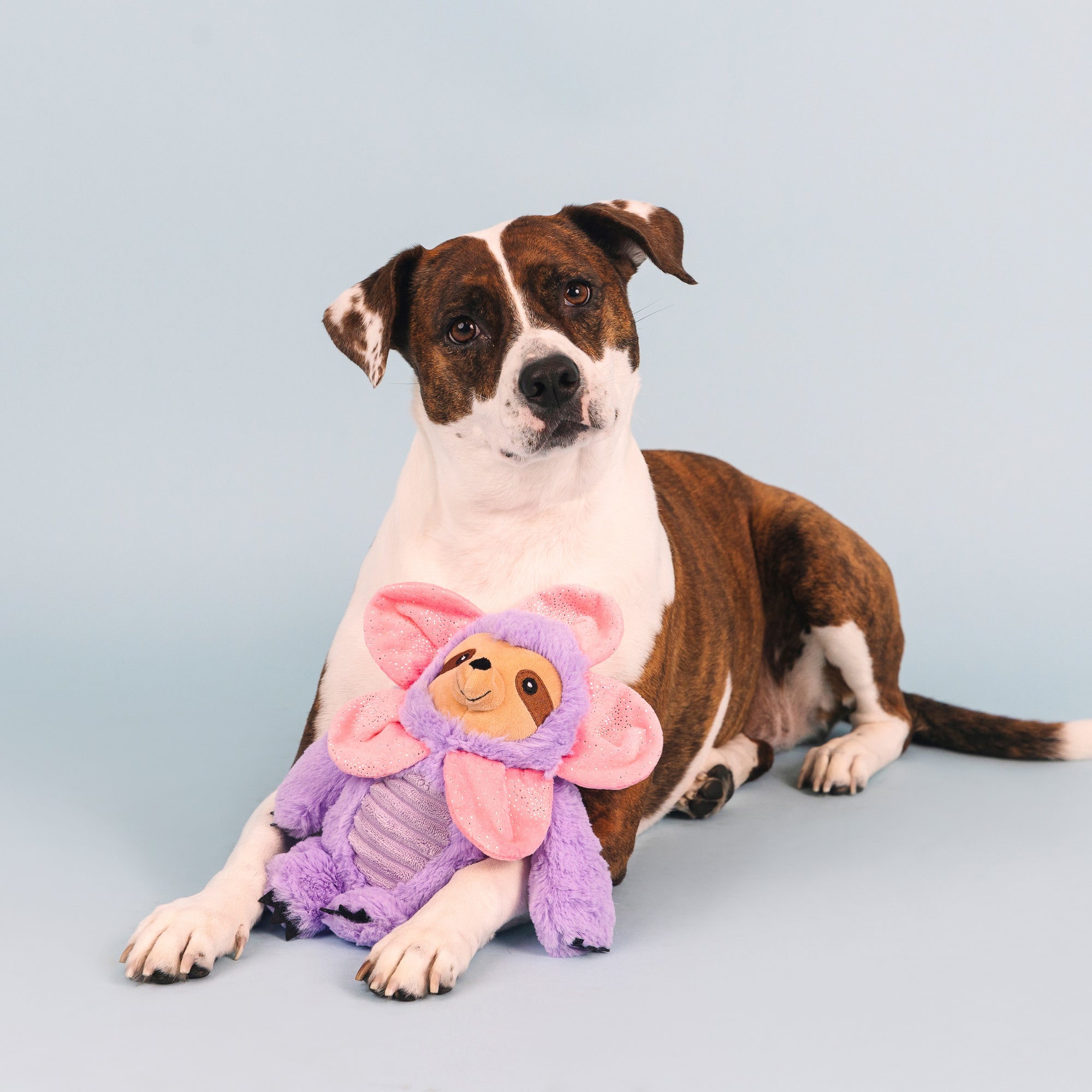I'll Grow On You Plush Dog Toy