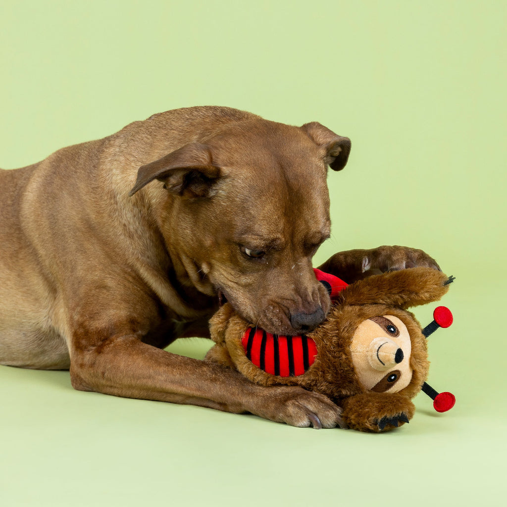 Little Ladybug Plush Dog Toy