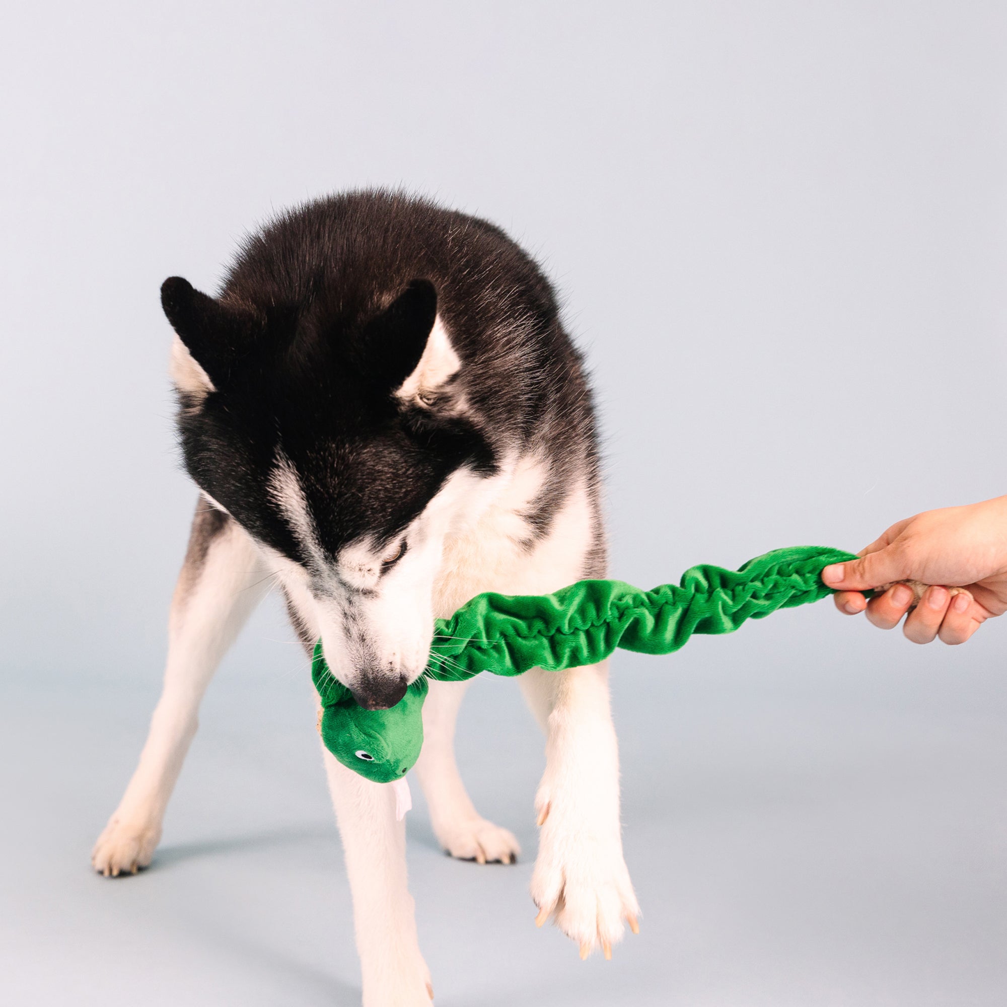 Hisses And Kisses Plush Dog Toy