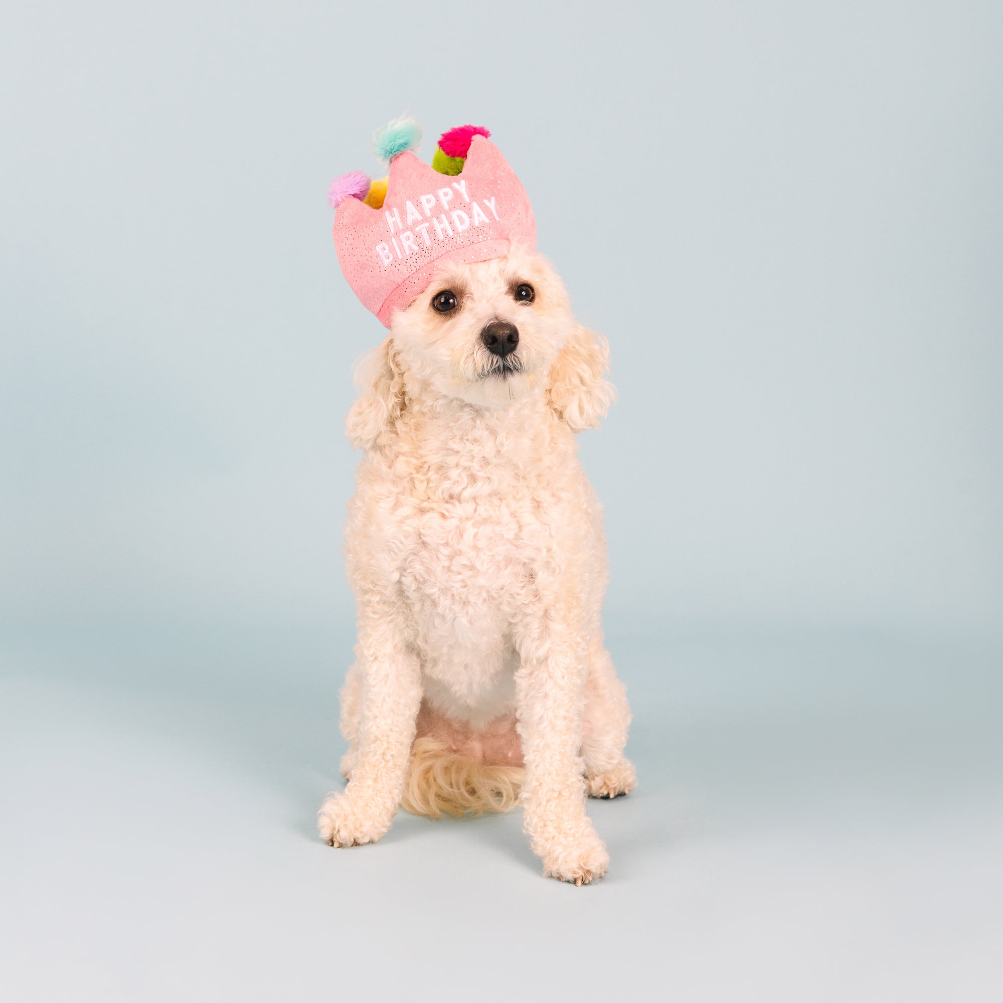 If The Crown Fits Wear Then Play Plush Dog Toy