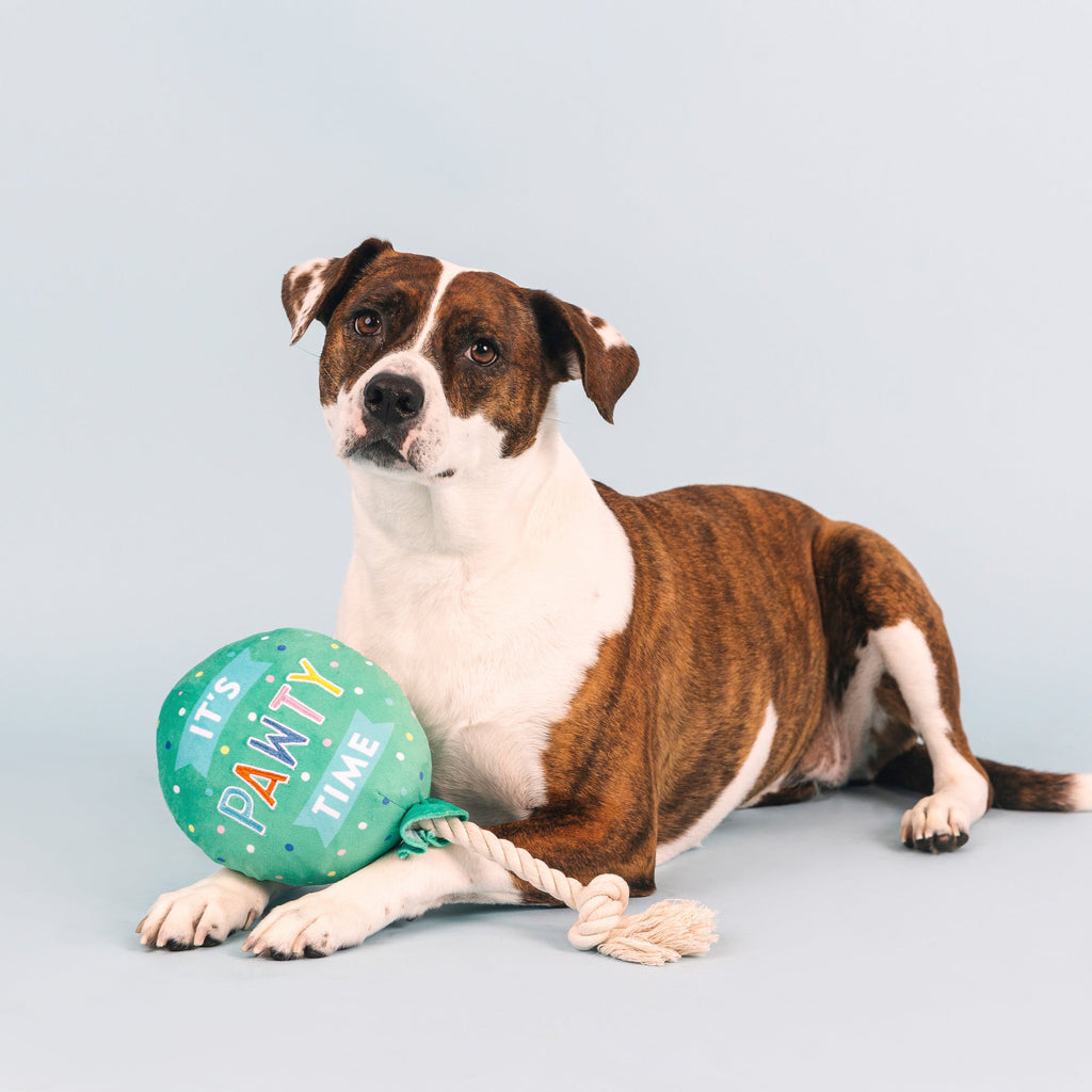 I Pawty, You Pawty Dog Toy